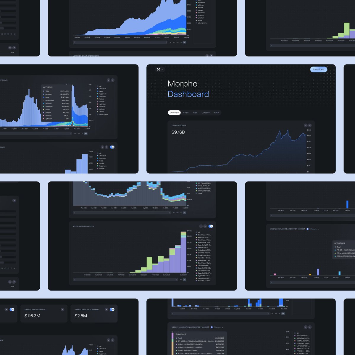 Morpho 🦋 tweet media