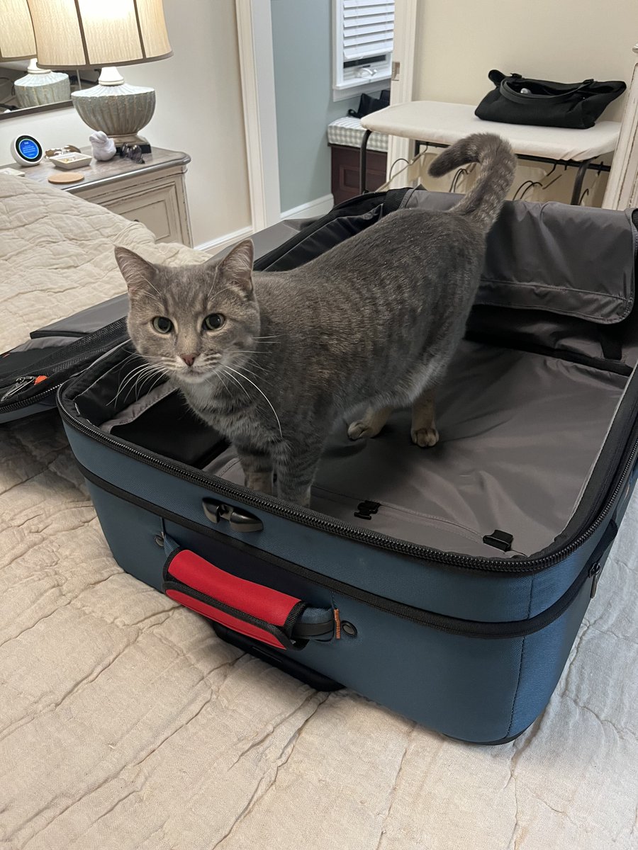 Animal Health Corridor tweet media