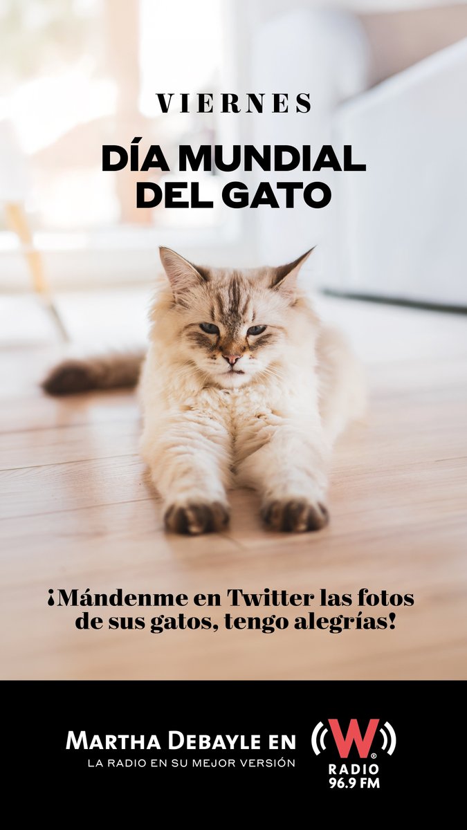 marthadebayle tweet media