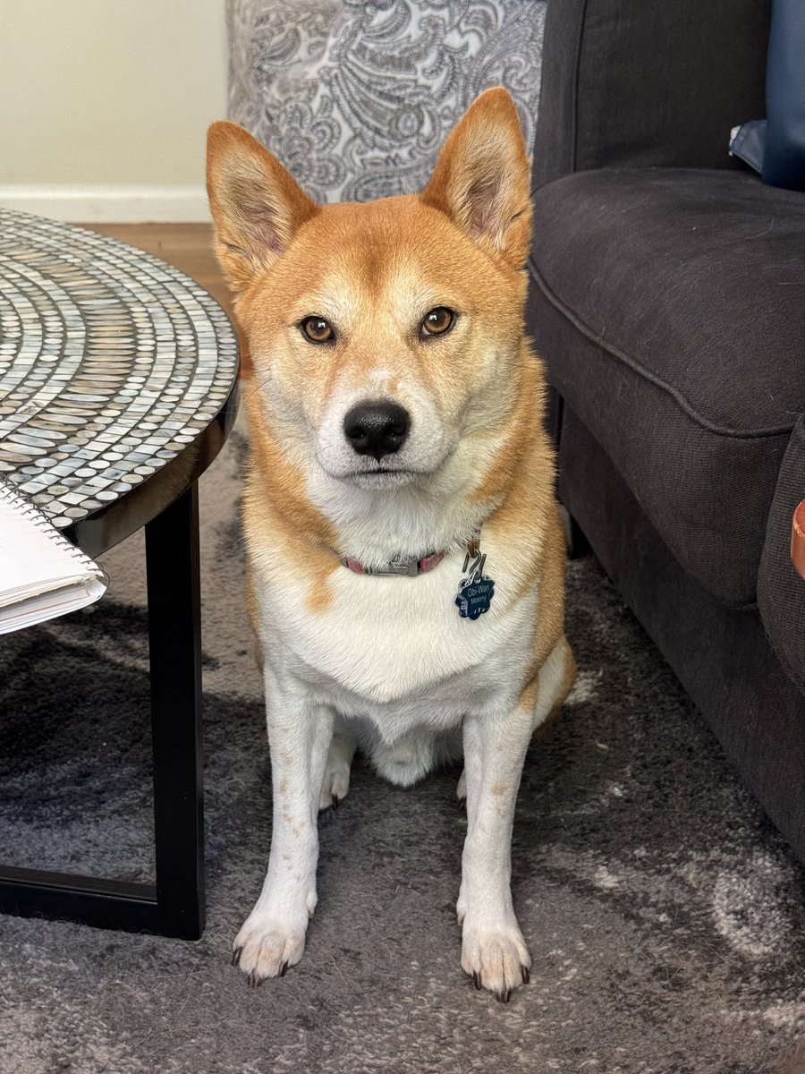 Matt Molony tweet media