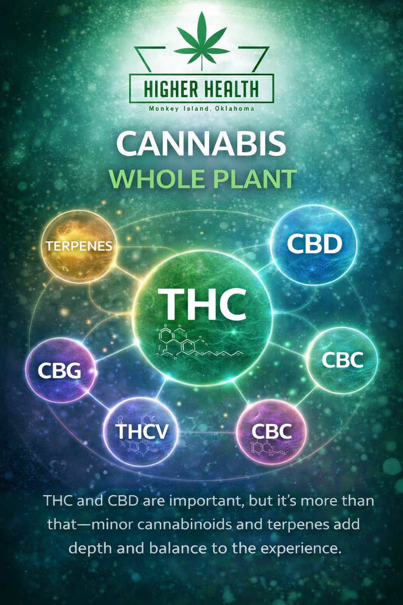 HigherHealthOK's tweet photo. Cannabis works best when all of its natural compounds work together. THC and CBD are important, but they’re only part of the picture. Minor cannabinoids and terpenes also play a role in how a product feels and functions in the body. #OklahomaDispensary #MedicalMarijuana https://t.co/15sKVMjI3Y
