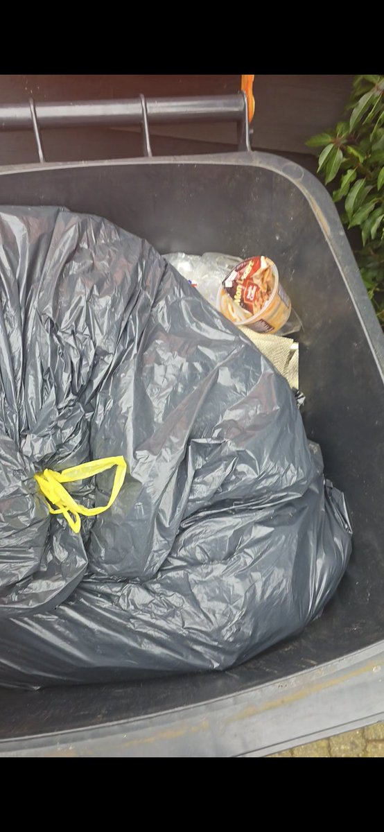 Pascal Redeker tweet media