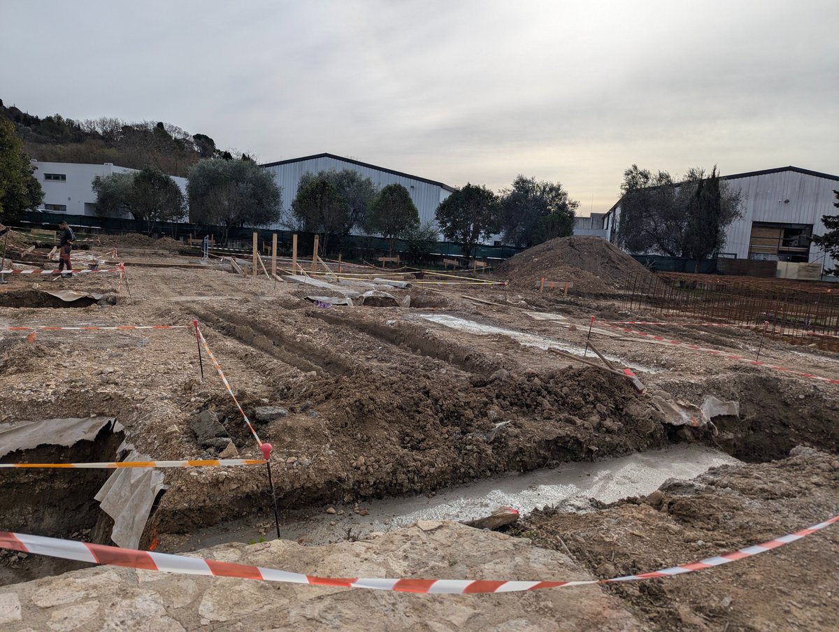 ECOMNEWS tweet media