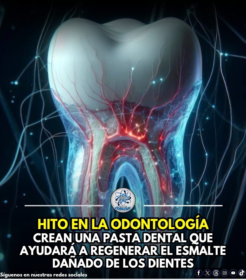Un equipo de científicos alemanes ha conseguido algo que parecía imposible: imitar el esmalte dental humano y añadirlo a productos diarios de higiene personal. Por lo que han creado una pasta dental de uso diario con 20% de hidroxiapatita, que es el principio activo que reproduce