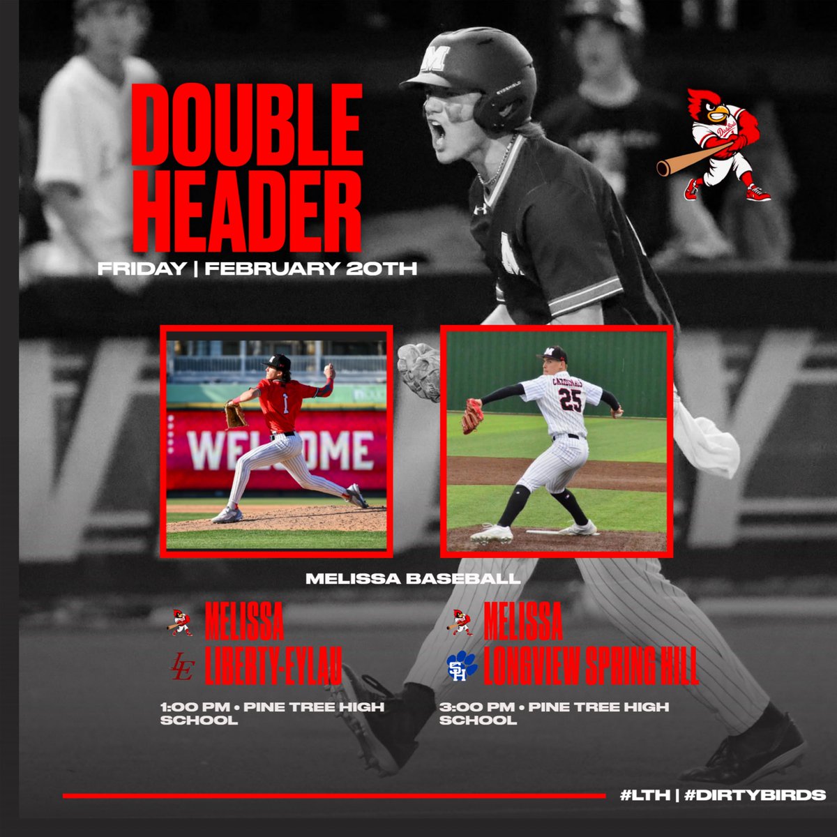 Melissa Baseball ⚾️ tweet media