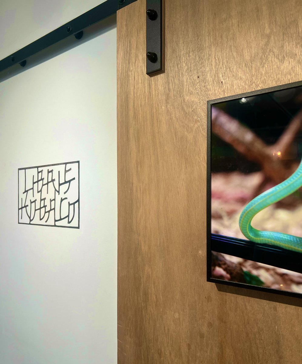 【展示＆トークイベントのお知らせ】
明日2/21（土）から、福岡のリブリスコバコでの個展が始まります。初日の夜19:00より、店主の増田みささんとお話しします。

まだ予約できますので詳しくはリブリスコバコのDMにて。

とてもすてきな空間なので興味ある方、近くにいる方ぜひ。