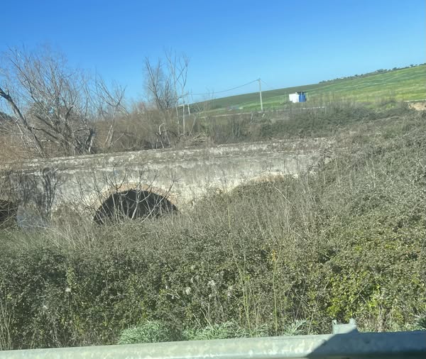 alentejo_1970's tweet image. Na estrada que liga #Serpa a #Pias ergue-se a antiga Ponte Romana. O abandono contrasta com a importância do monumento. Não é apenas uma construção antiga é património classificado, é herança colectiva, é sinal de uma história que nos
antecede e que nos cabe preservar. #Alentejo