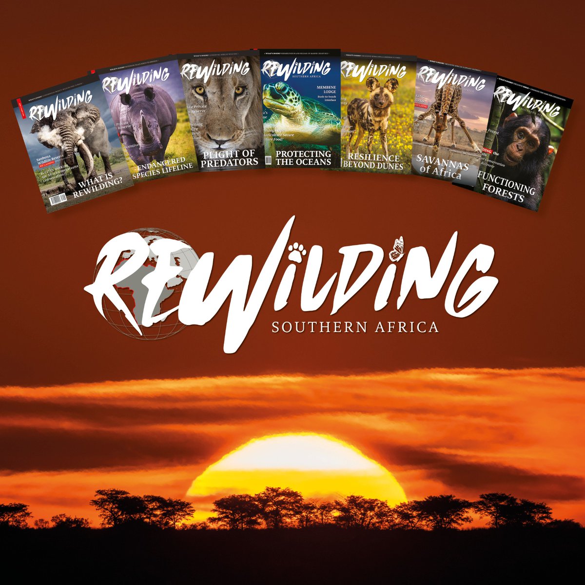 Africa Travel Week tweet media