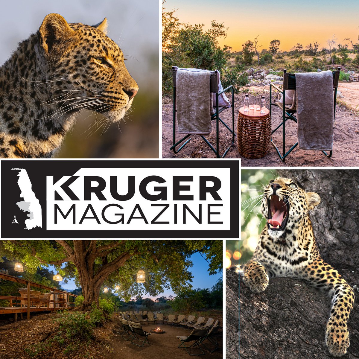 Africa Travel Week tweet media