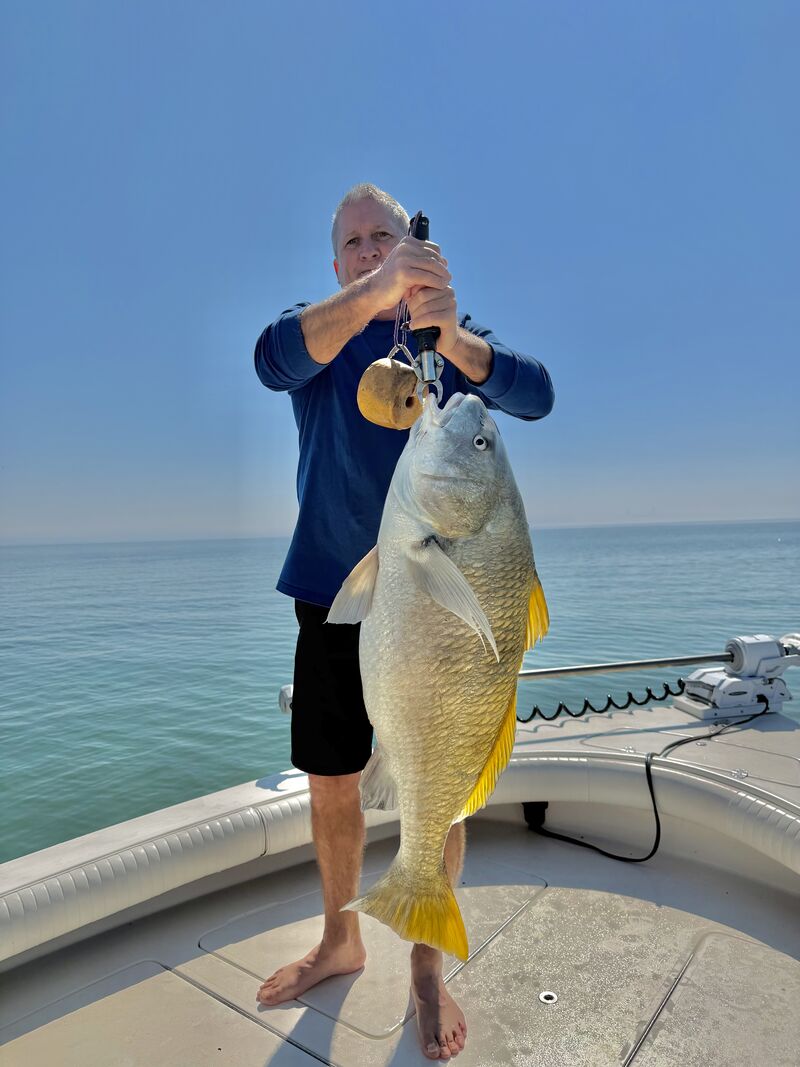 CaptRichA's tweet photo. Always a bonus when you find the pot of gold

-Tampa Fishing Charters (Year-round)
-Boca Grande Tarpon Charters (April, May & June - NOW BOOKING FOR 2026)
-Tampa Fishing Kids Camp (Fall break, Winter Break, Spring Break & Summer Break)
-Corporate Fishing Outings (No size to big)

#sportfishing #Sports #gold #liquidgold #goldfish