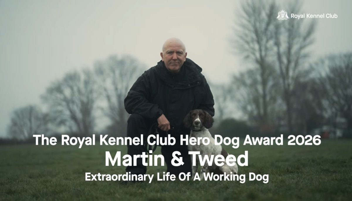 Giant Schnauzer Albert tweet media