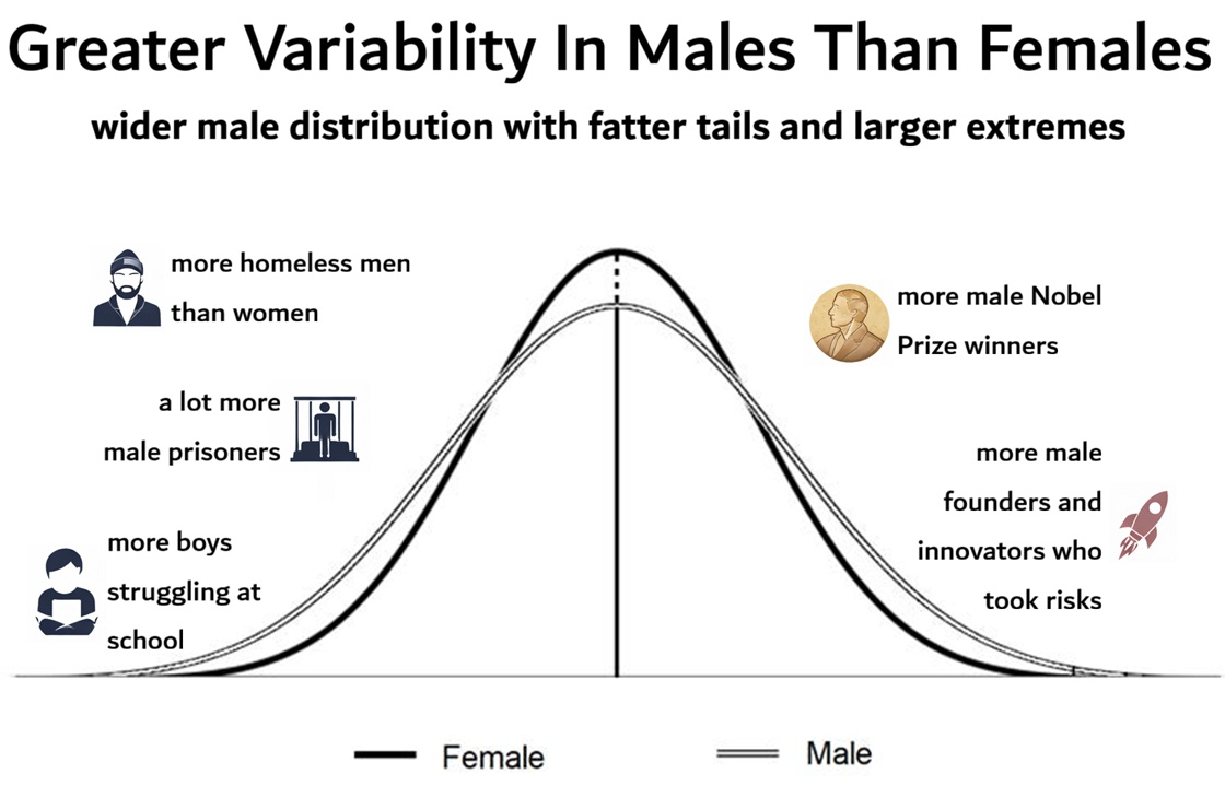 Why are zero women in the top 10 chess players ever?

Why are ~95% of inventors, founders, and Nobel Prize winners men?

Why are ~90% of prisoners and ~75% of homeless men?

Same reason:  men have greater variability in everything - IQ, aggression, risk appetite, ambition, trust,