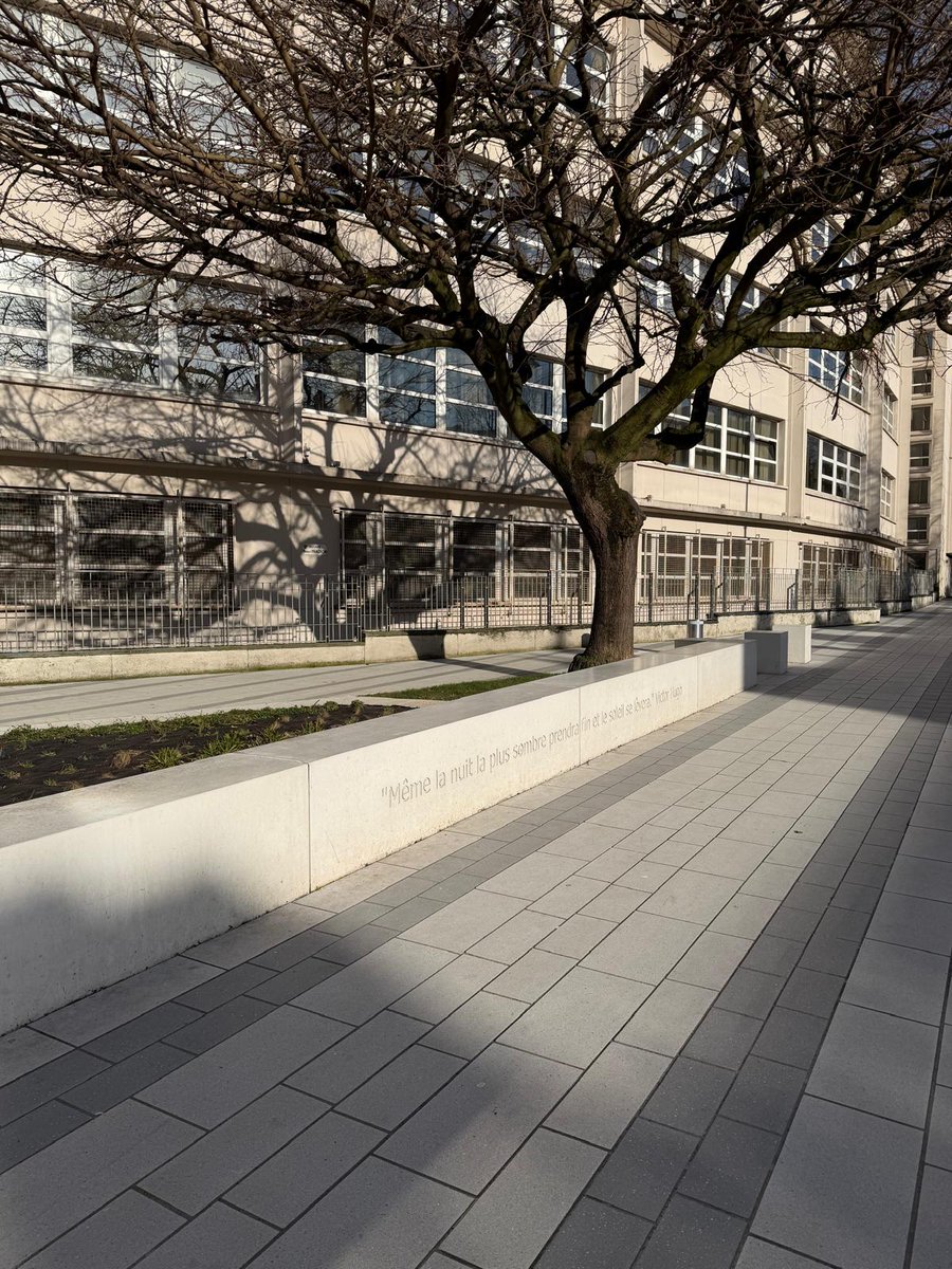 UrbaStyle's tweet photo. Square Frachon in Arras (FR).

Customized by @UrbaStyle : seats, planters and steps - finishing Fino.
Godelmann slabs : paving scenic.

With @VilleArras and Urba Folia. https://t.co/ggSCcVGbGc