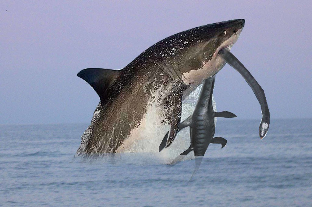 Ummmmm..... <a href="/megalodoncrisis/">Megalodon</a> what the hell is this???? Explain yourself????