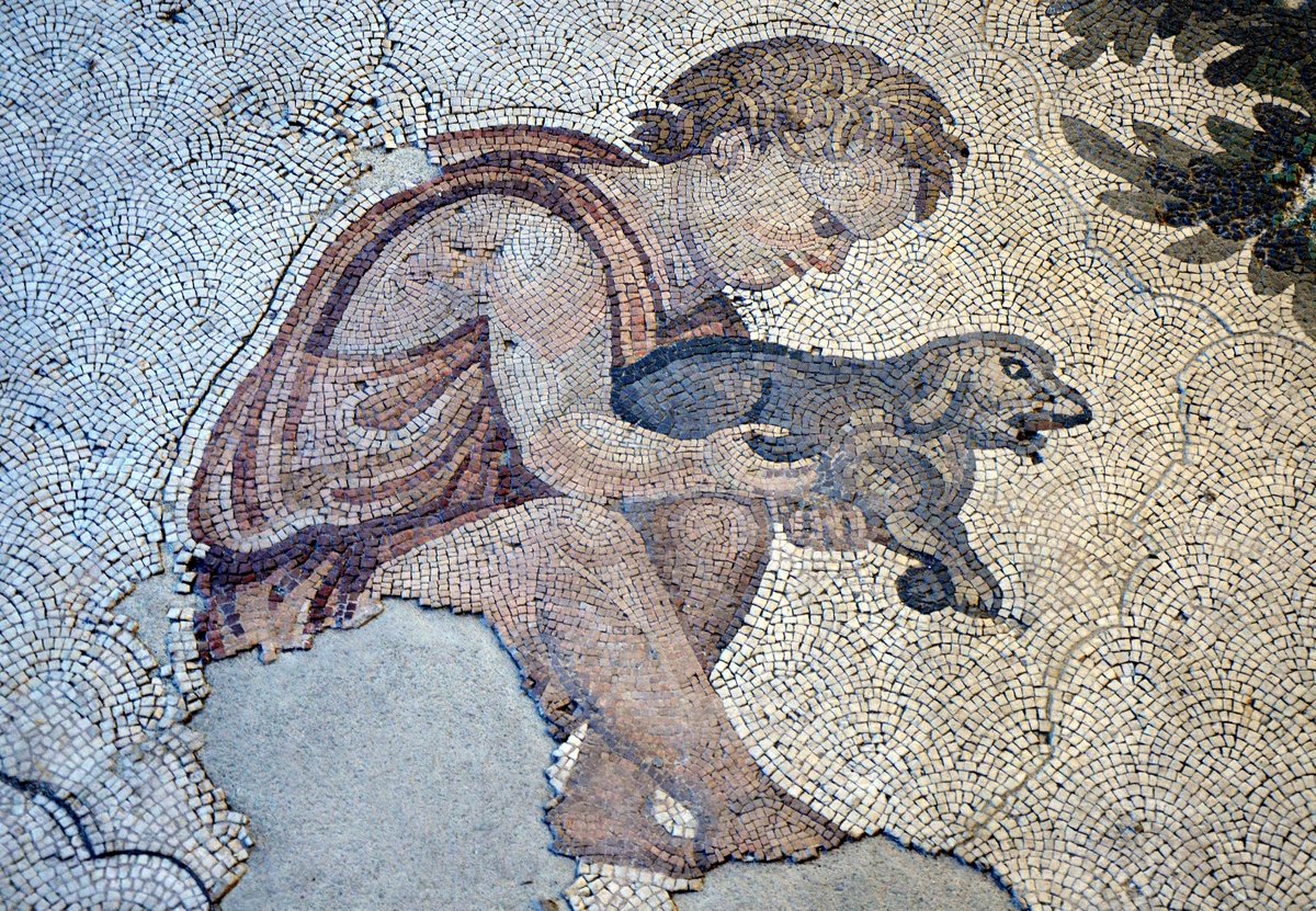 #LoveYourPetDay - A child holding a puppy, detail of the 6th-century mosaic floor from the Palatium Magnum (Constantinople's Great Palace).

Palace Mosaic Museum, Istanbul.