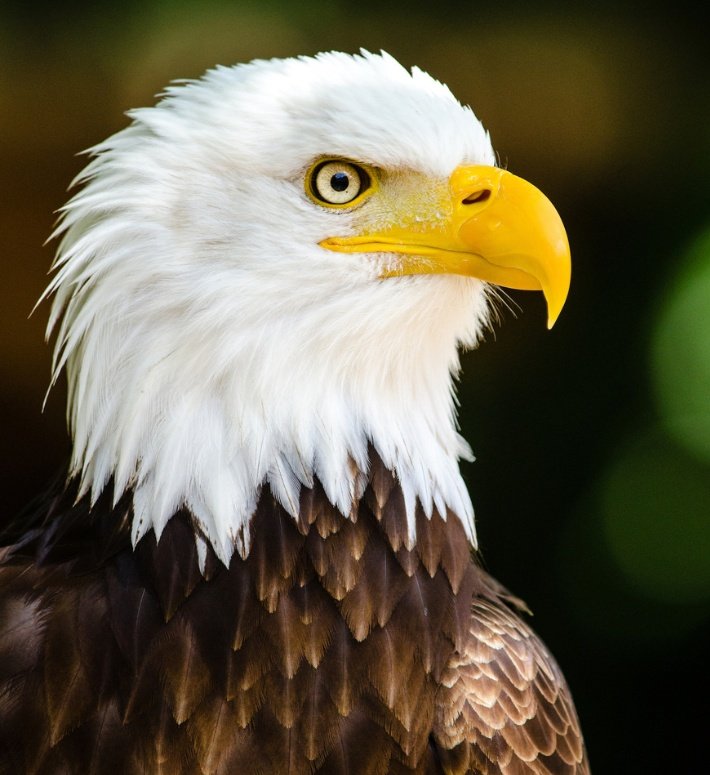 World Insights tweet media