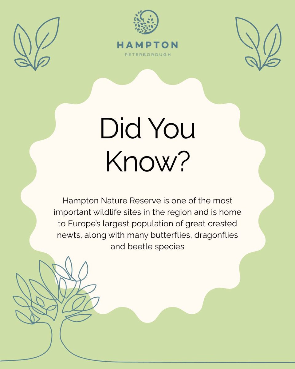 O&H Hampton tweet media