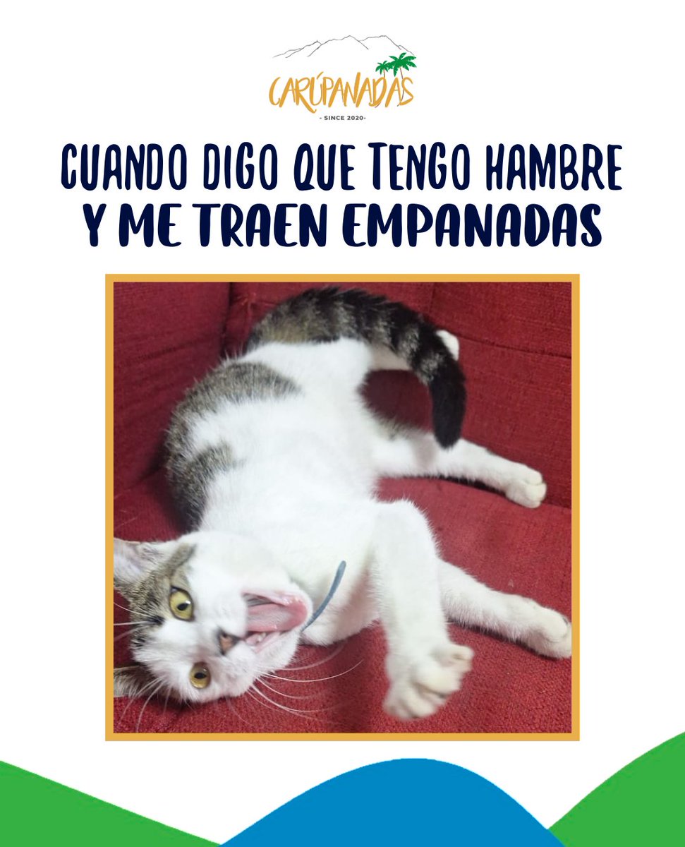 Carupanadas_'s tweet photo. El fin de semana está aquí 😏 y ya sabes lo que eso significa… 

Es momento de darte ese gusto y disfrutar las mejores empanadas de Caracas (las que te llevan a la playa de un solo mordisco🤤)

Te esperamos en El Bosque y El Hatillo ✨ Tenemos delivery a toda la ciudad 🛵 https://t.co/JaztvxDoB9