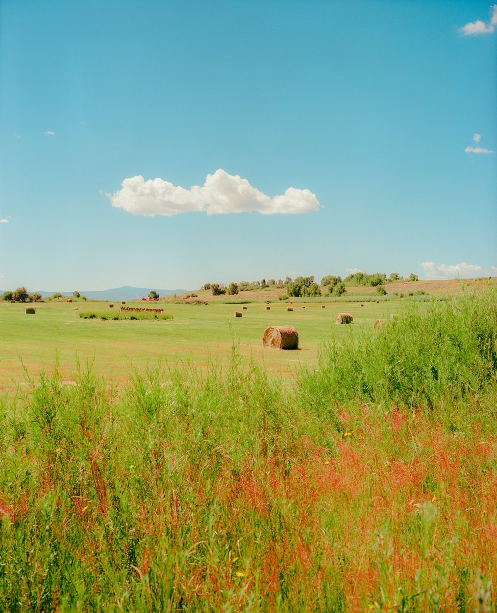 AlexKittoe's tweet photo. Somewhere out west 🎞️ https://t.co/MNM8dCO7G8