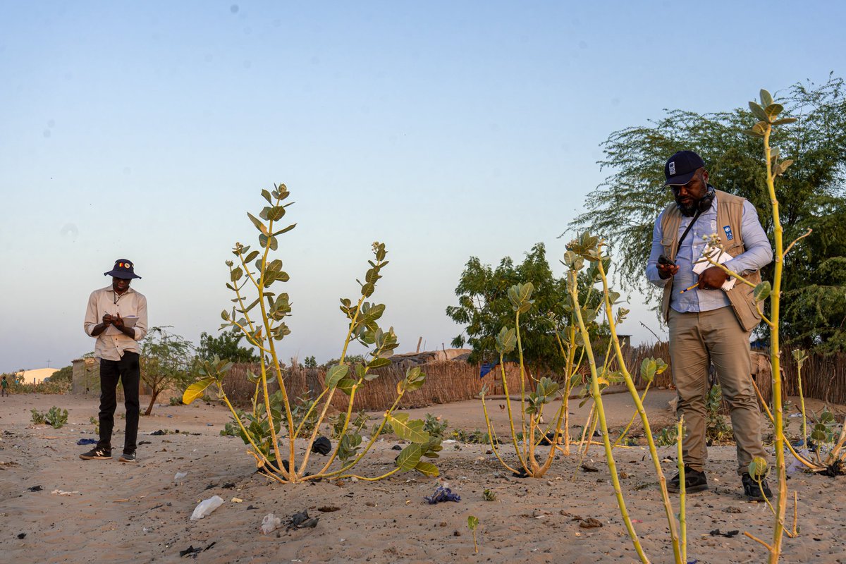 💡 Des infrastructures choisies avec les communautés #StabilisationTchad
 Du marché de poisson aux bureaux administratifs, logements d’enseignants et espaces multifonctionnels pour les femmes, les infrastructures 2026 sont sélectionnées avec les communautés et les autorités