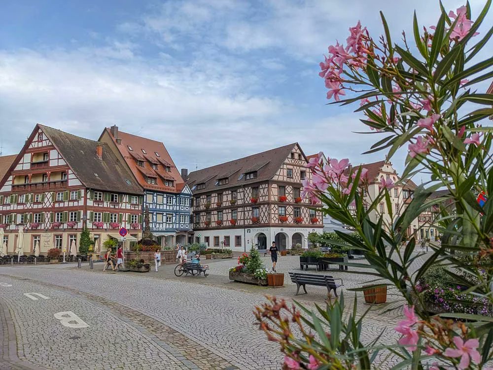 Destination Eat Drink tweet media