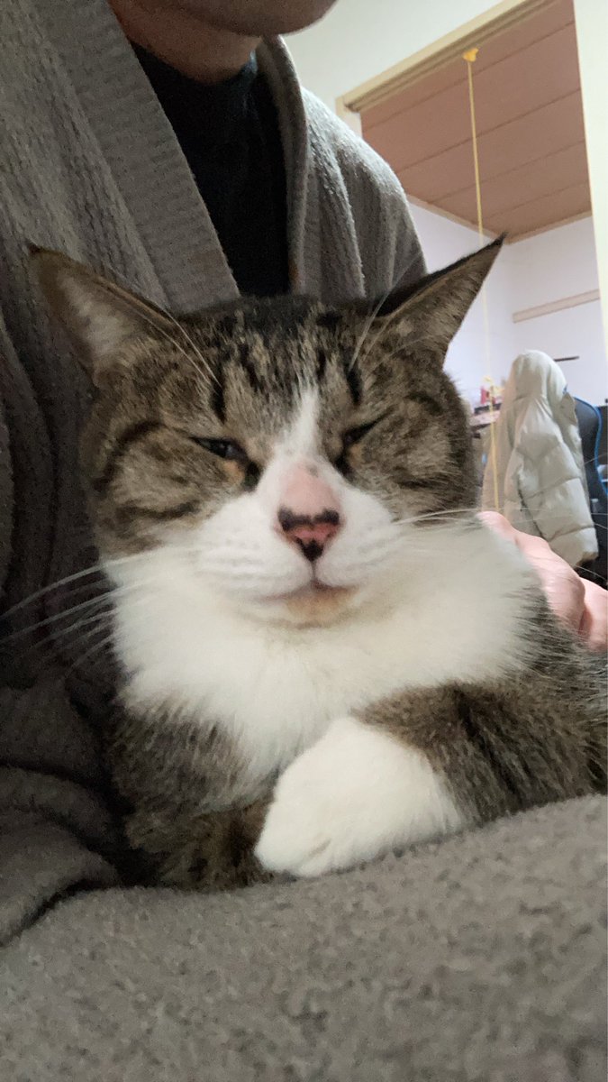 pekos ペコス (@pekos0604) / Posts / X