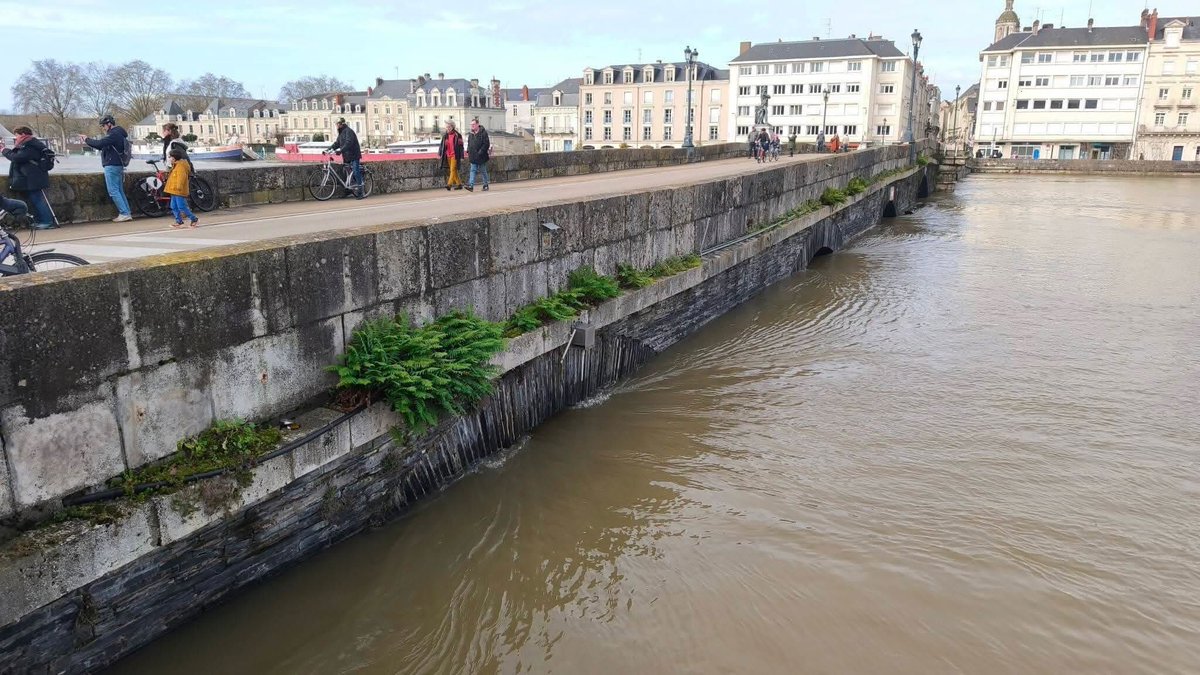 lachainemeteo's tweet image. La #Maine, toujours en rouge par Vigicrues, connaît actuellement une #crue historique, dépassant la crue de référence de février 2021 à #Angers. Crédit photo : Cindy Renou