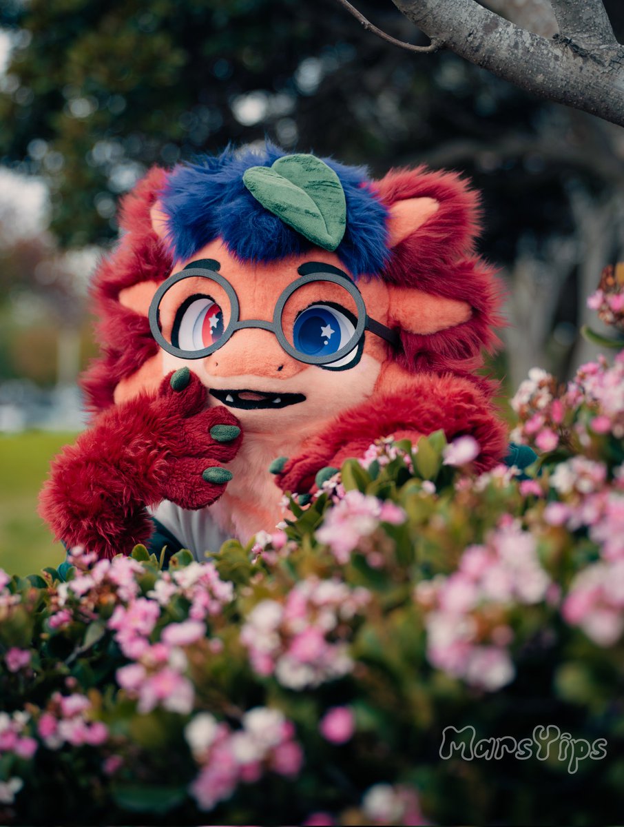 MarzLotl 🪸 🔜 ASC tweet media