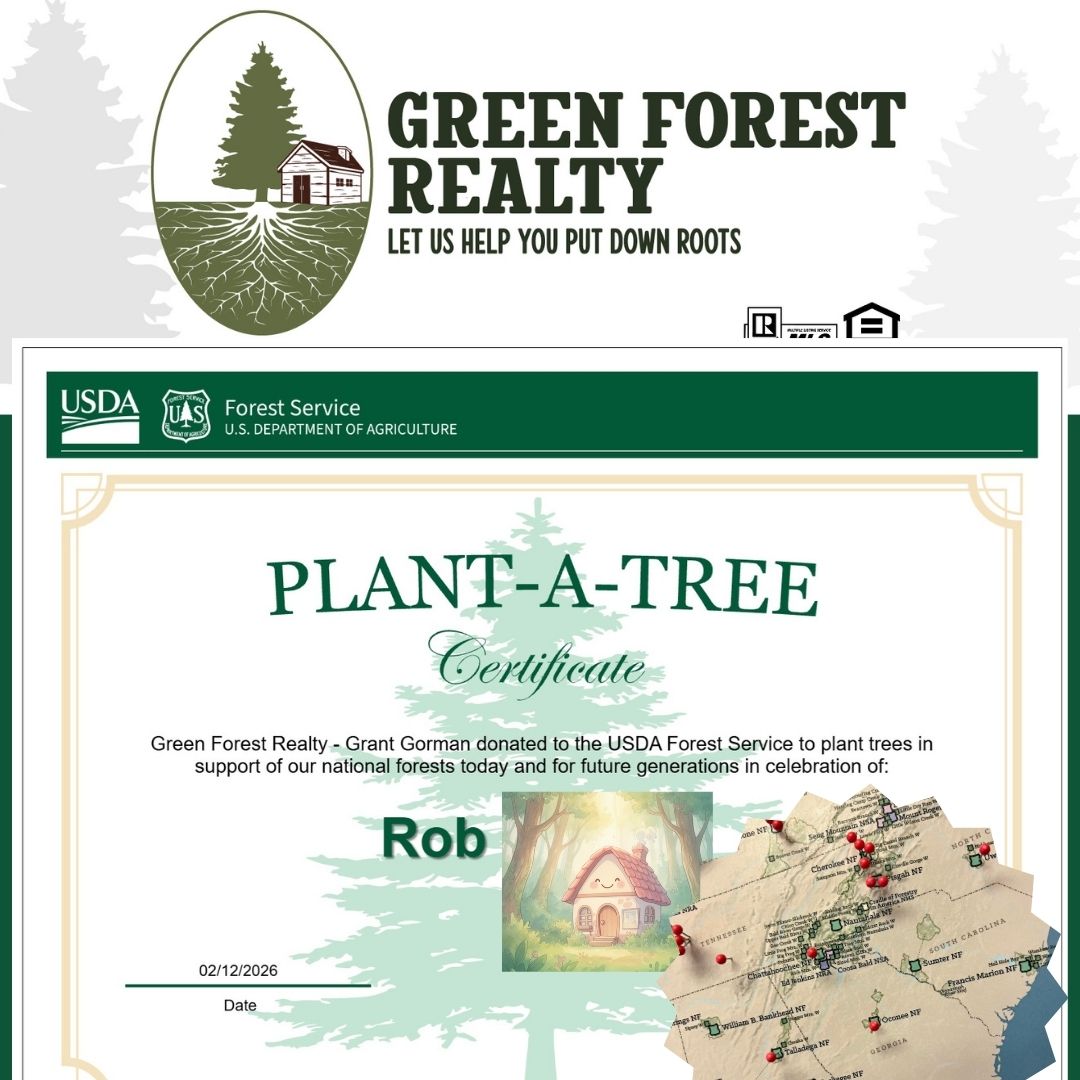 Green Forest tweet media