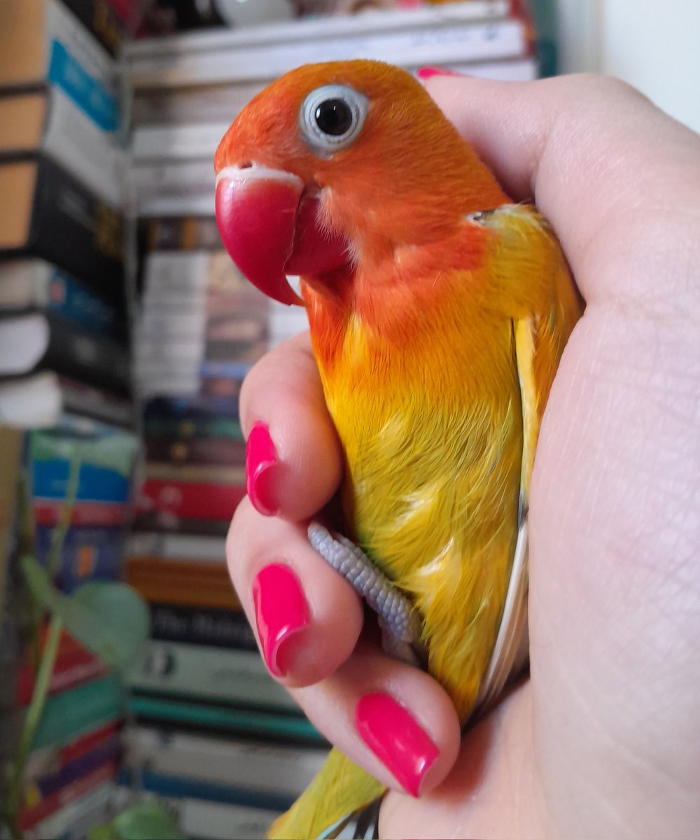 Ftme🌙 tweet media