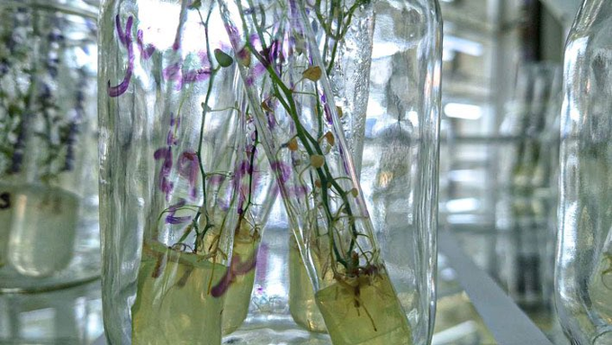 La Inventadera tweet media