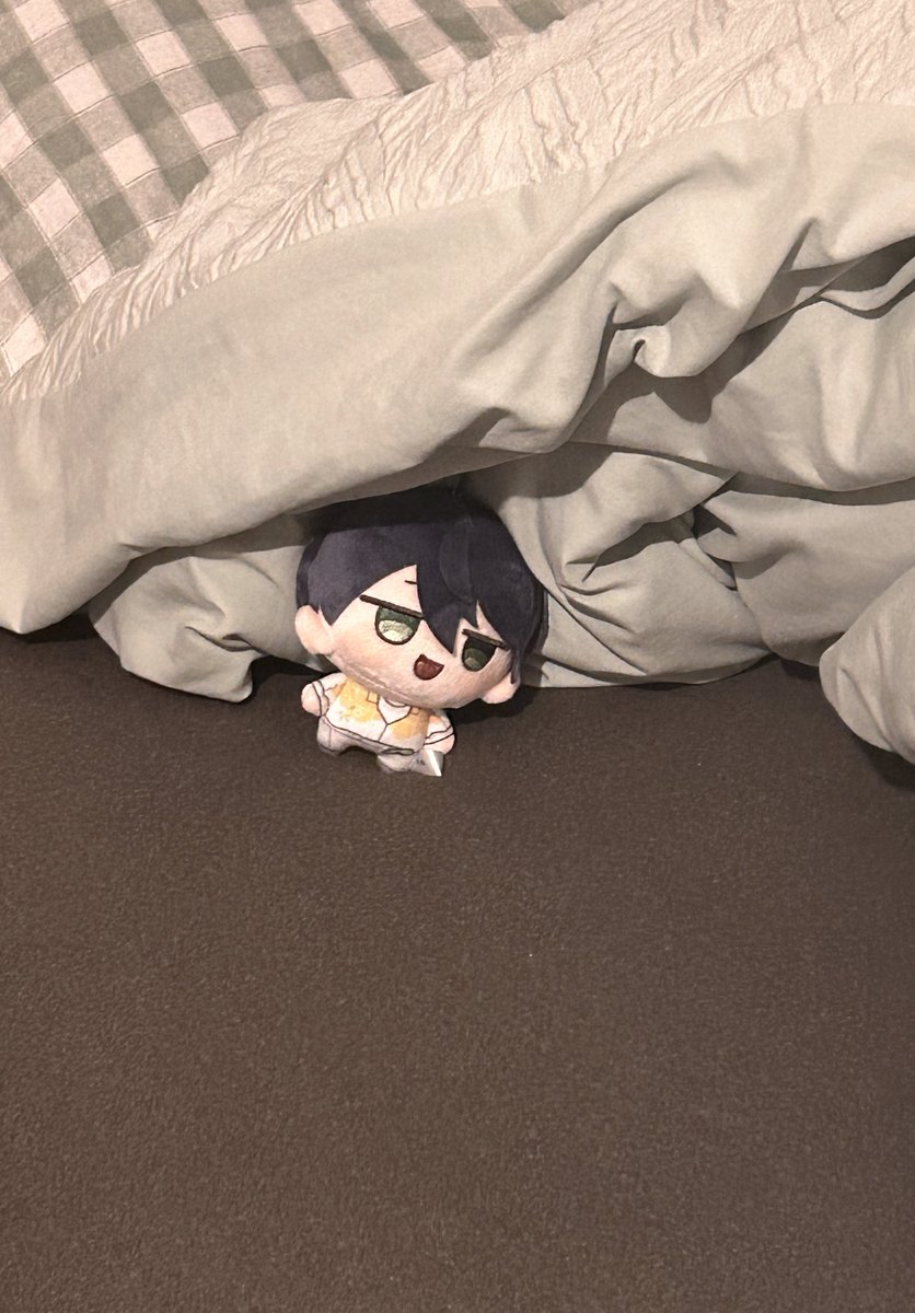 布団をどけたら、いた
こやつ、ここで文明を作る気だ