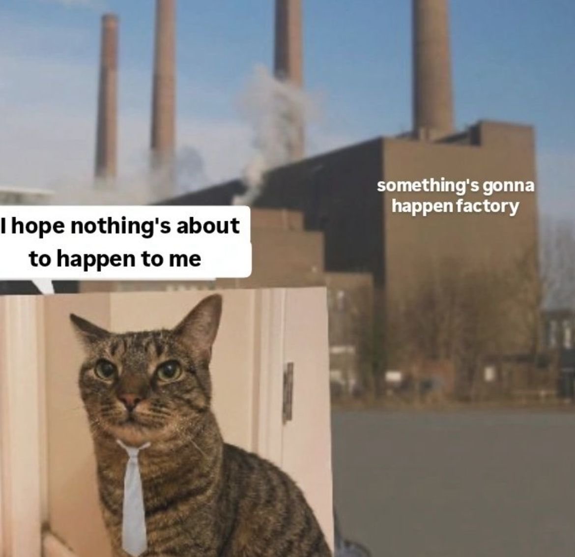 𝒔𝒑𝒊𝒅𝒆𝒓🕷 tweet media