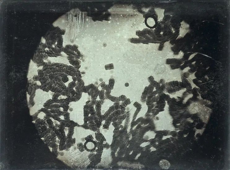 The Daily Former tweet media