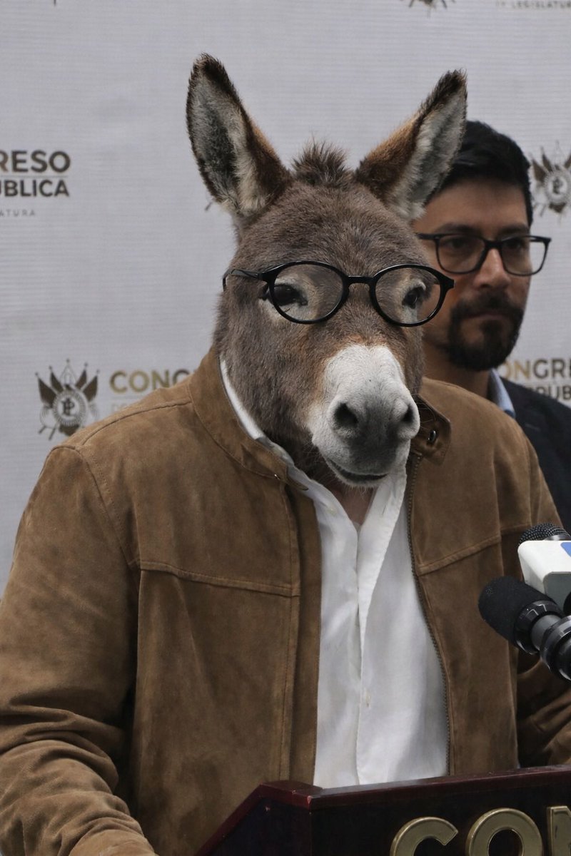 Tuitserio1's tweet image. En el mundo en el 2026 se pusieron de moda los Therians; humanos que se creen animales; 
pero en Guatemala desde 2020 un burro se cree Diputado