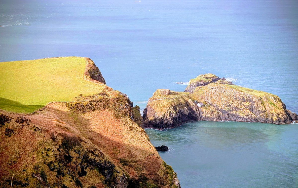 Anne Kelly ⛔NO DMs⛔ unless I know or follow you. tweet media