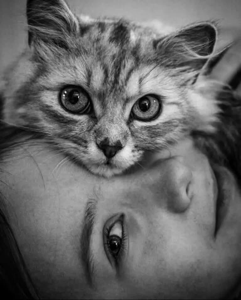 Alex (@polaleks) on Twitter photo 