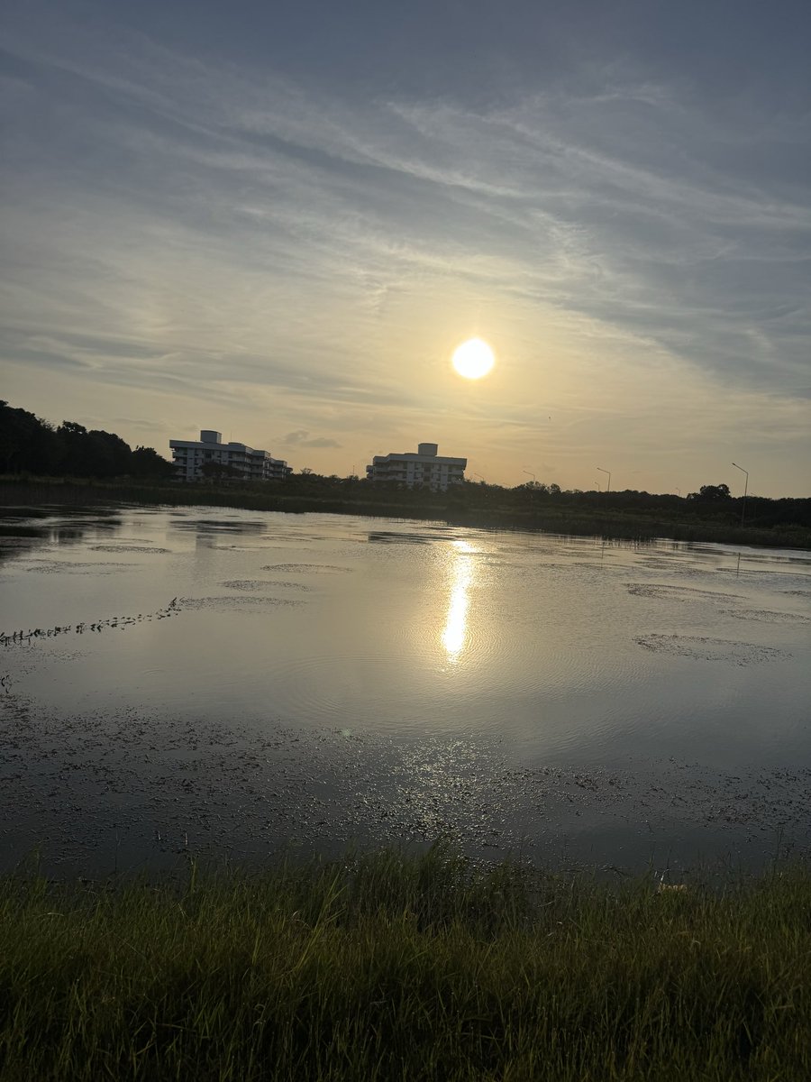 DarkGirl tweet media