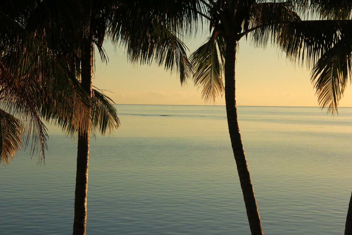 MBHenry1985's tweet image. It's winter again in Indiana today. 

So my brain is vacationing in my photography files from Fiji!

🌺🌞🌴

#photography #fridayphoto #fridayfeels #Fiji