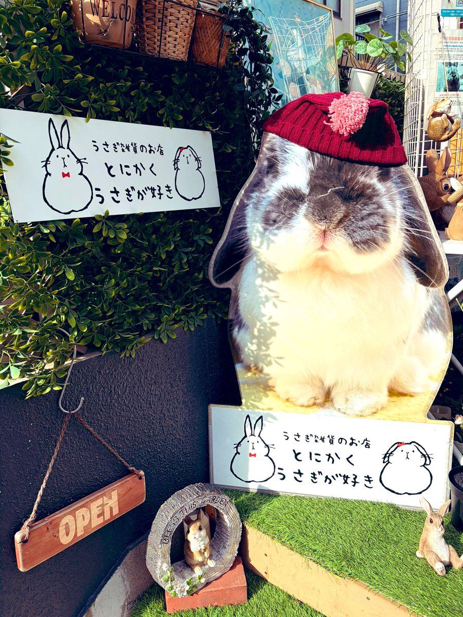 うさぎ雑貨はいいぞ…🐰 #とと様みてみて