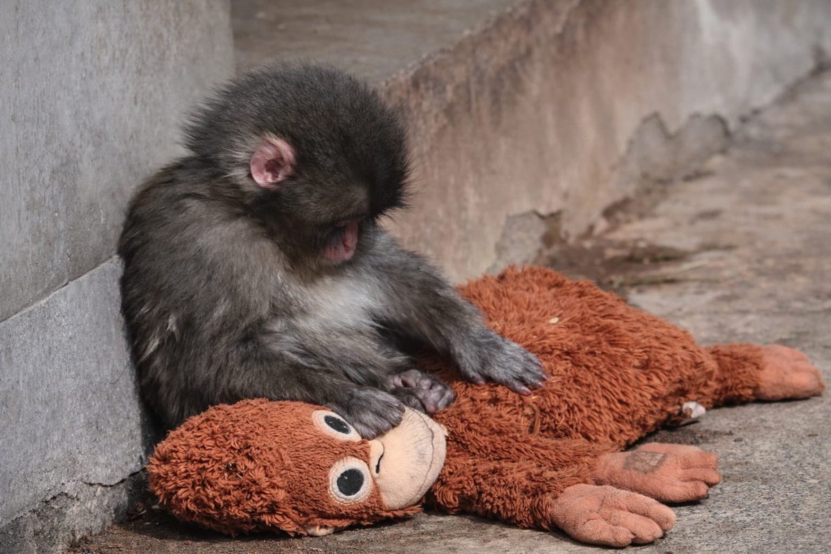 joyrtis's tweet image. no sun, no sky 얼굴은 창백 all day
미쳐 난 flipping 마치 fried eggs, pancakes
bloodshot eyes tonight 도망가, 여길 벗어나