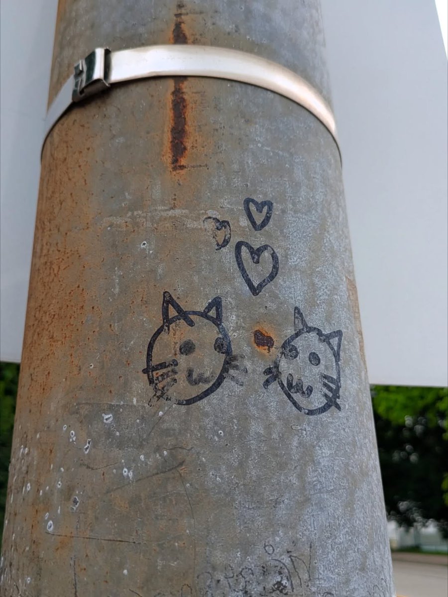 No Cats No Life tweet media