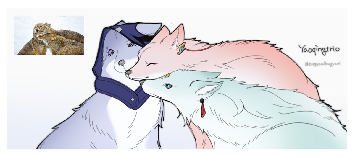 여우도둑 tweet media