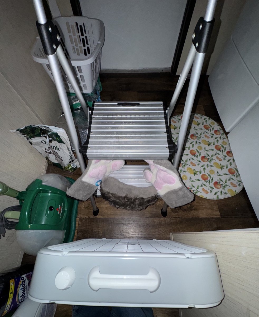 xolorunner tweet media