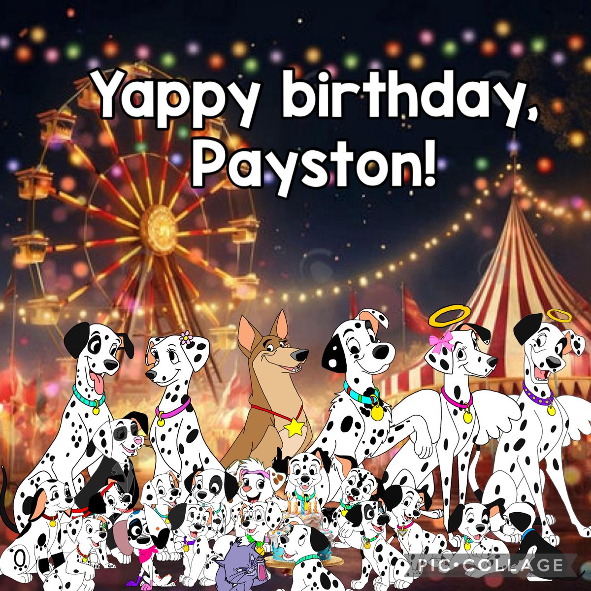 🐶ᴘᴀᴛ ᴅᴀʟᴍᴀᴛɪᴀɴ🐶 tweet media