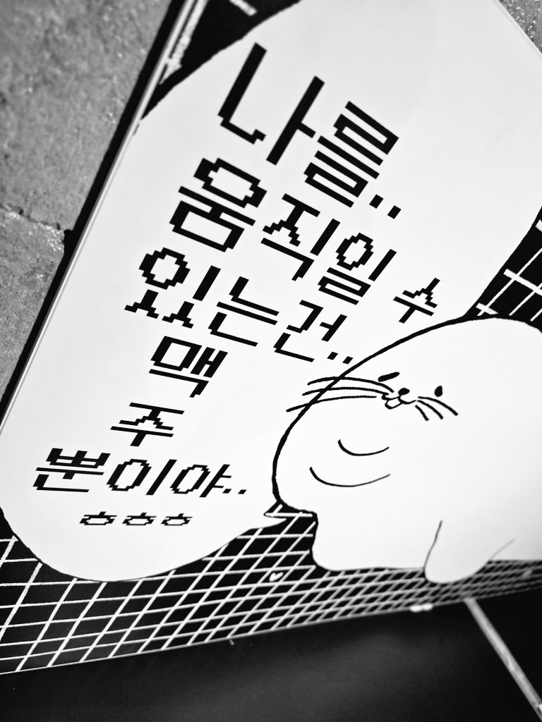 키읔 (@fq_n_circle) on Twitter photo 