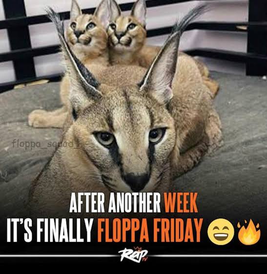 Gregory Flops tweet media