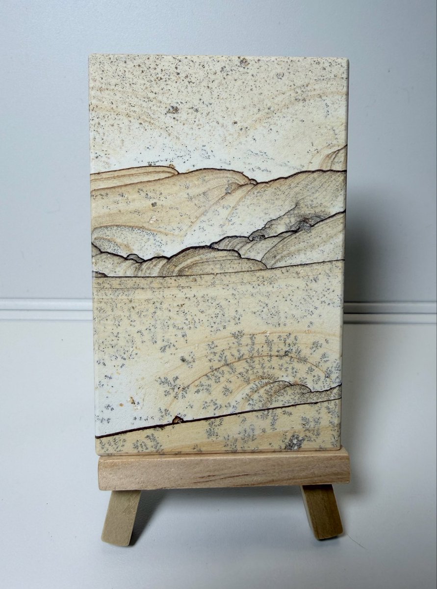 浅草橋② @gems_r5 さん 天草の木目石 日本にこんな面白いピクチャー