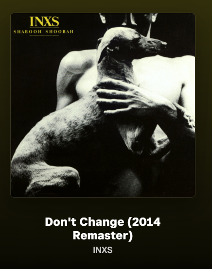 Michael's Record Collection Pod/Newsletter tweet media