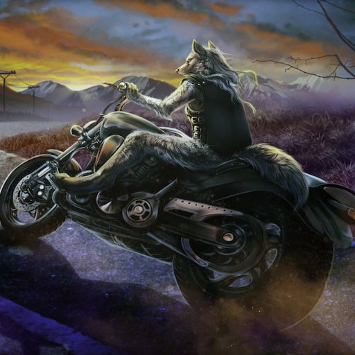 nicaomei's tweet image. kawasaki (&amp;amp;team remix)